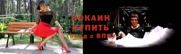 дмт Бородино