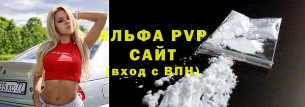 дмт Бородино