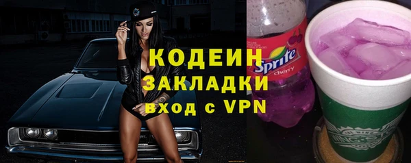 дмт Бородино