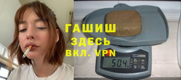 дмт Бородино