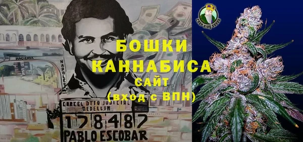 трава Осинники