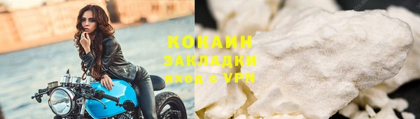 дмт Бородино