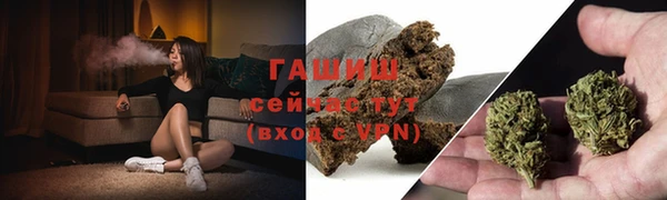 дмт Бородино