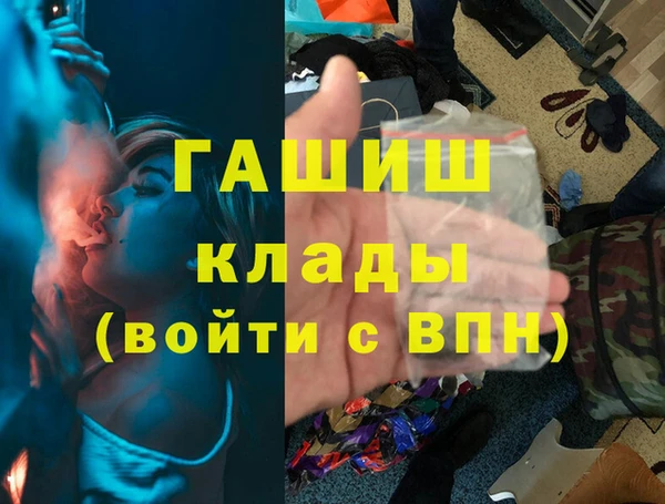 дмт Бородино