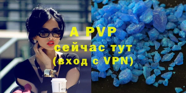 дмт Бородино