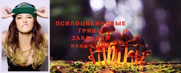 дмт Бородино