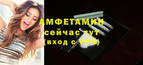 дмт Бородино
