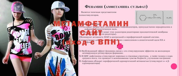 дмт Бородино