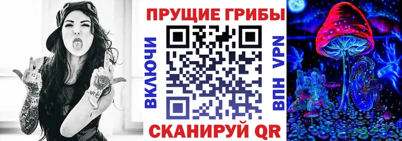 Галлюциногенные грибы Psilocybine cubensis что такое Камешково